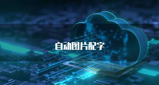 阿里云服务器的工作原理与网络技术服务解析